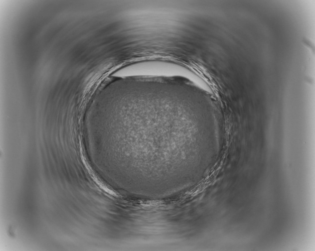 X0000096980097200802221443