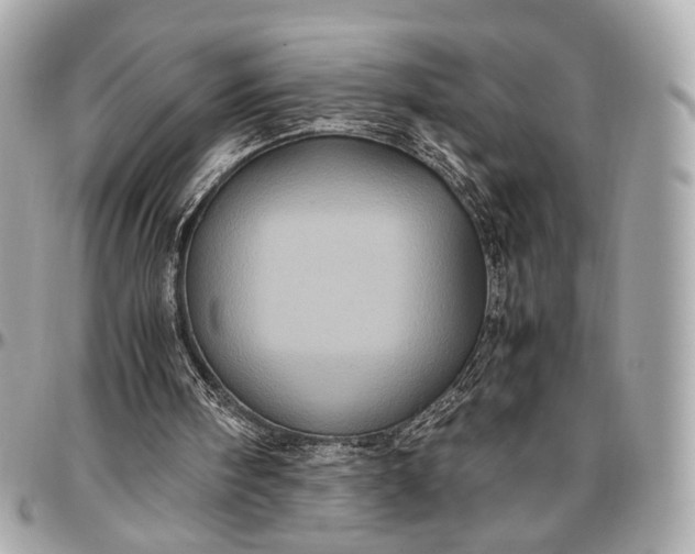 X0000096980098200802221443