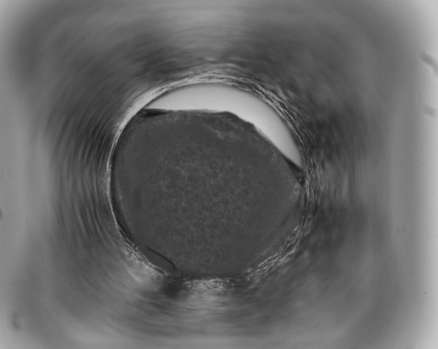 X0000096980100200802221443