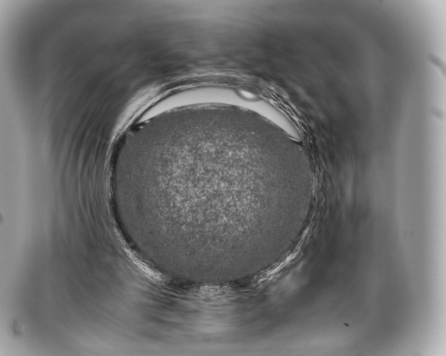 X0000096980101200802221443