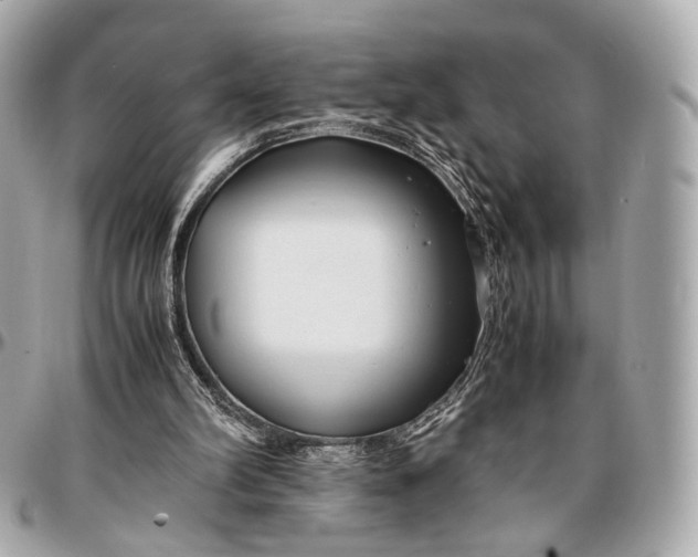 X0000096980102200802221443