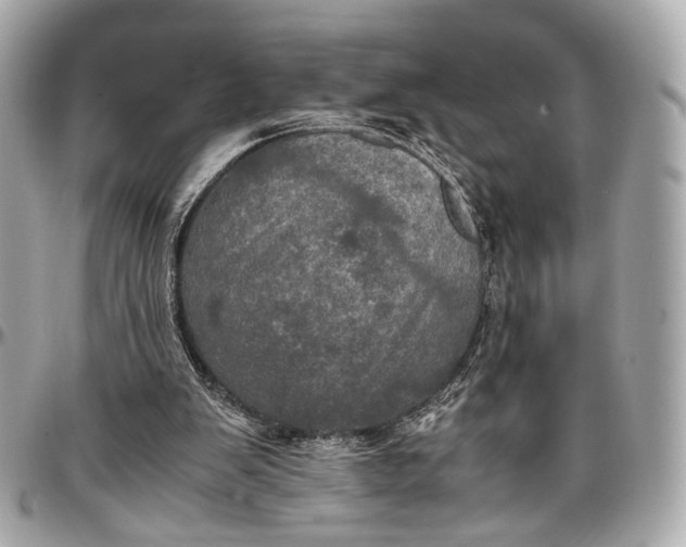 X0000096980103200802221443