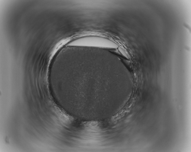 X0000096980104200802221443