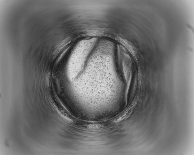 X0000096980105200802221443