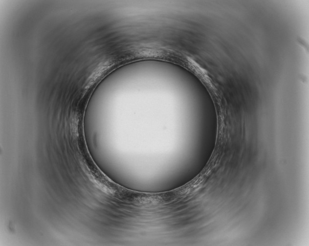 X0000096980106200802221443