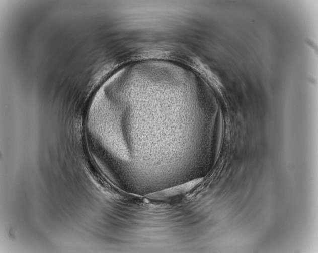 X0000096980107200802221443