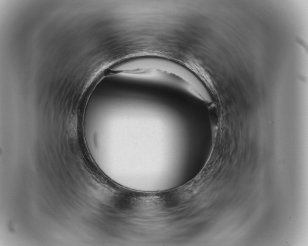 X0000096980108200802221443