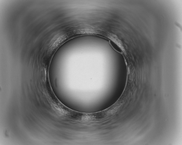 X0000096980109200802221443