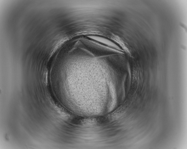 X0000096980110200802221443