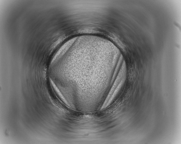 X0000096980111200802221443