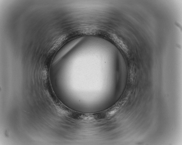 X0000096980113200802221443