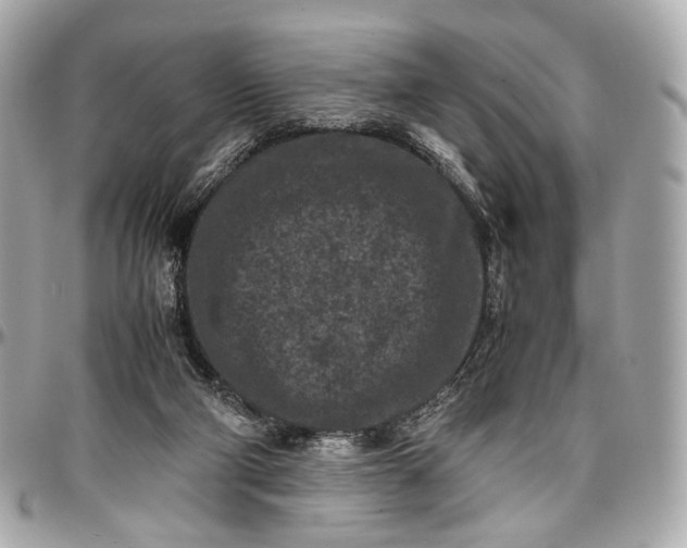 X0000096980114200802221443