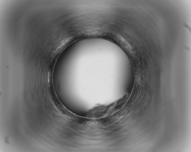 X0000096980115200802221443