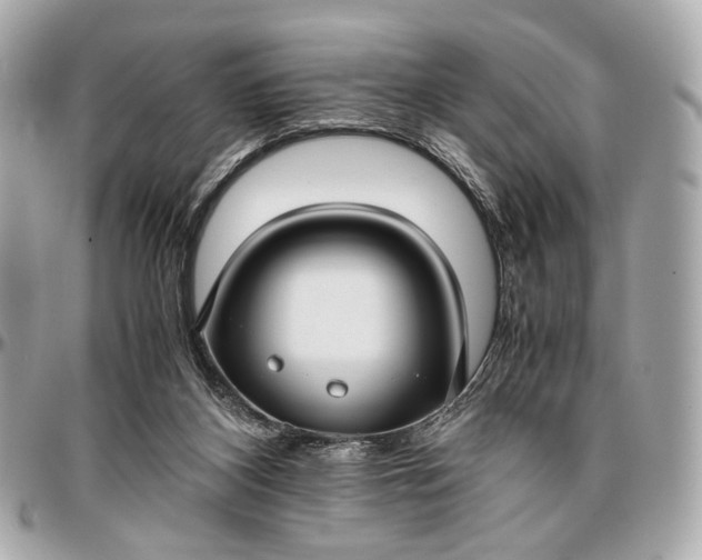 X0000096980116200802221443