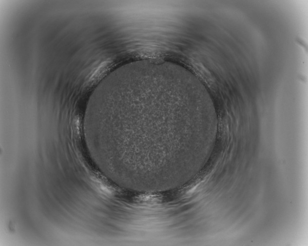 X0000096980117200802221443