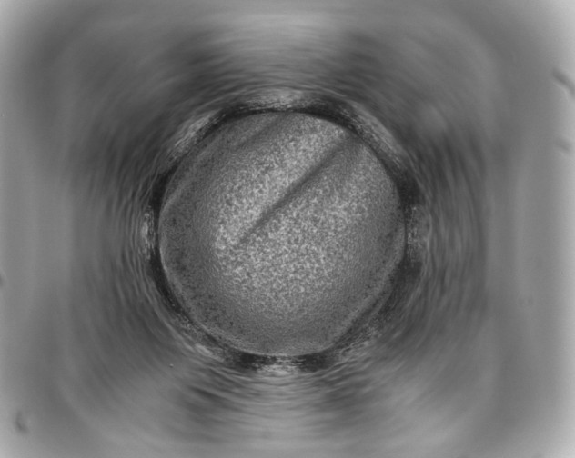 X0000096980119200802221443