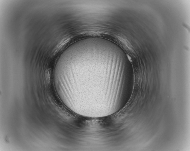 X0000096980120200802221443