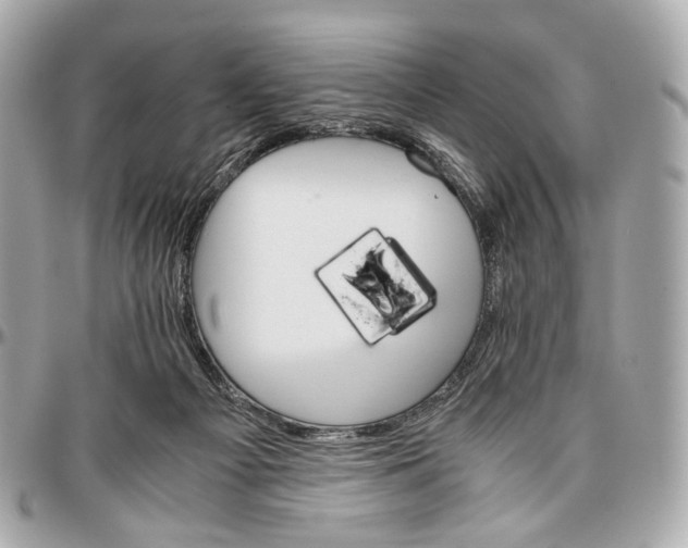 X0000096980121200802221443