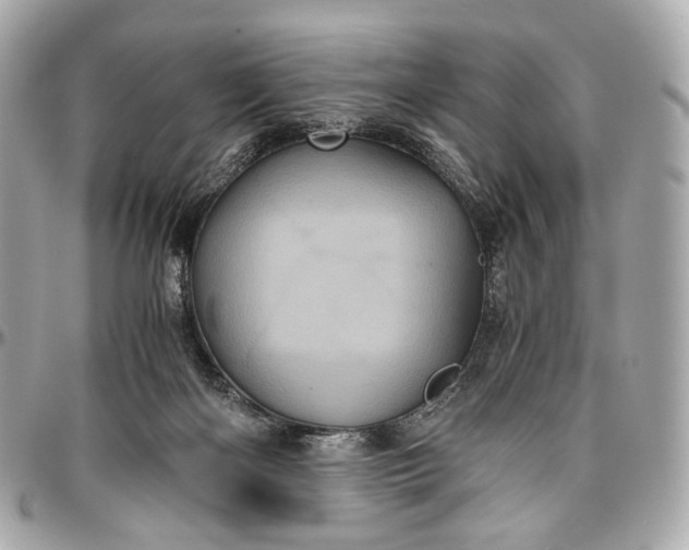 X0000096980122200802221443