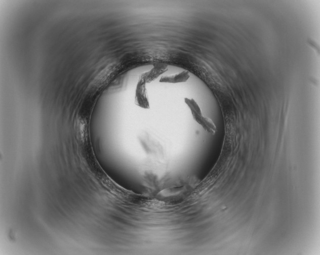 X0000096980123200802221443