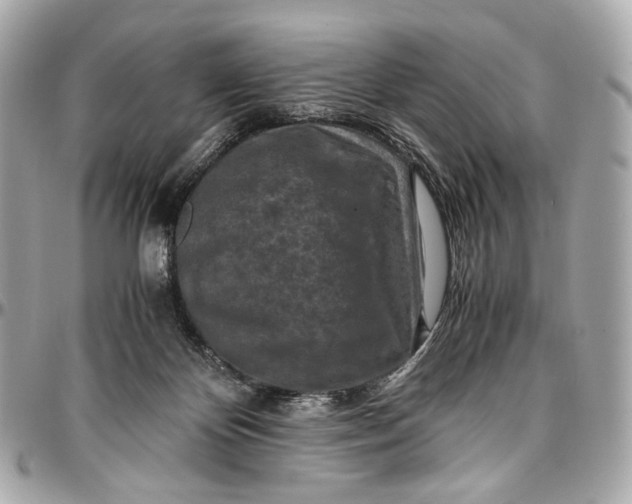 X0000096980124200802221443