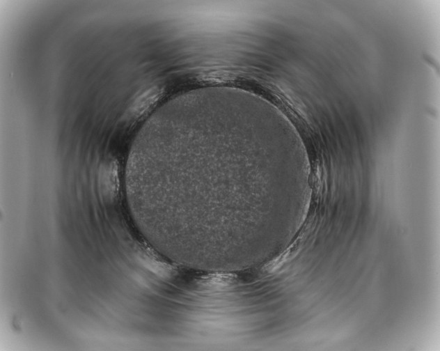 X0000096980128200802221443