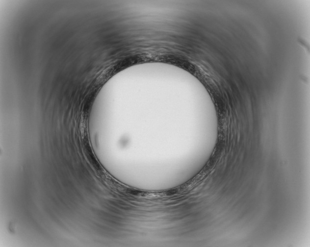 X0000096980129200802221443