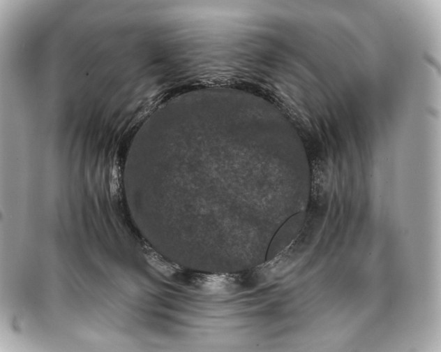 X0000096980130200802221443