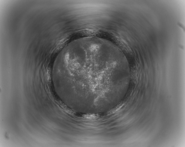 X0000096980131200802221443