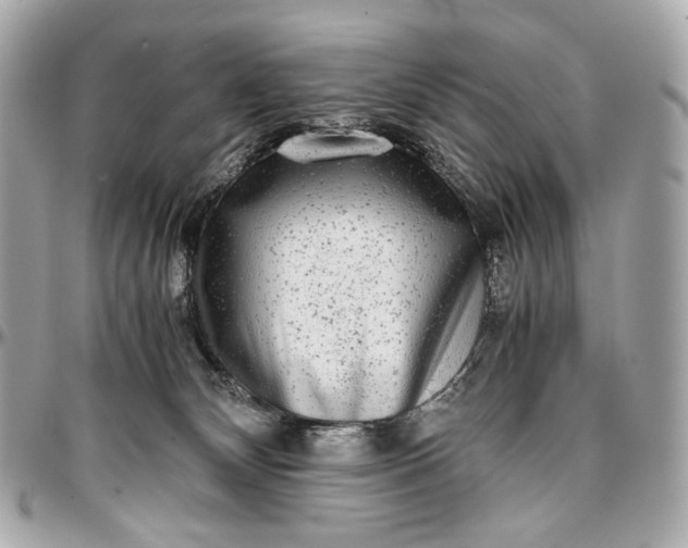 X0000096980132200802221443