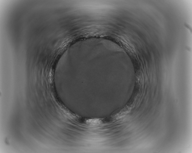 X0000096980133200802221443