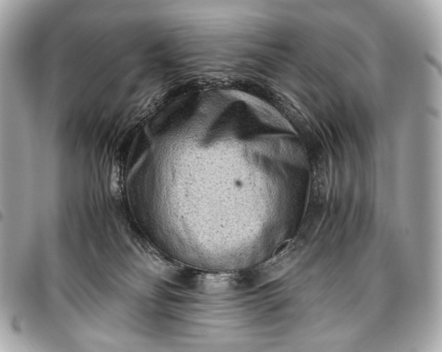 X0000096980134200802221442