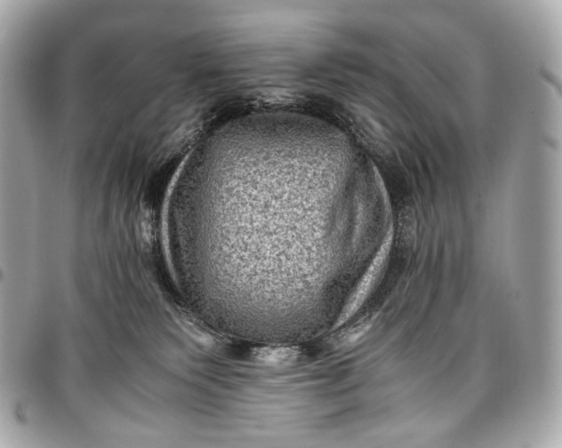 X0000096980135200802221442