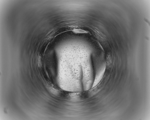 X0000096980136200802221442