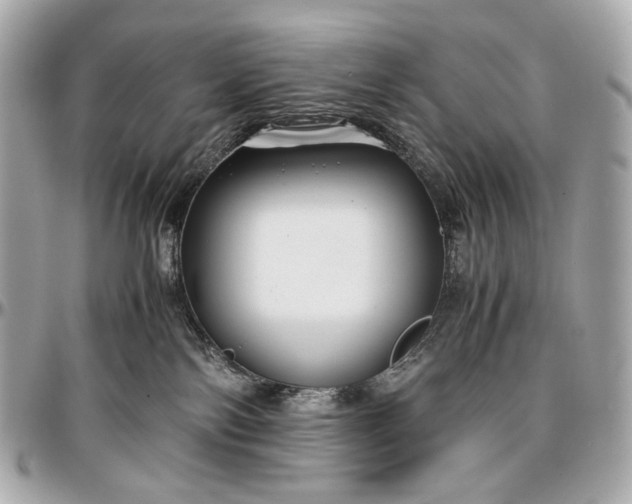 X0000096980138200802221442