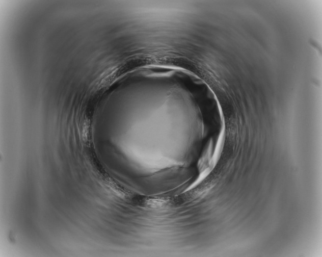 X0000096980139200802221442