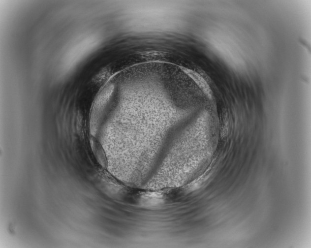 X0000096980140200802221442