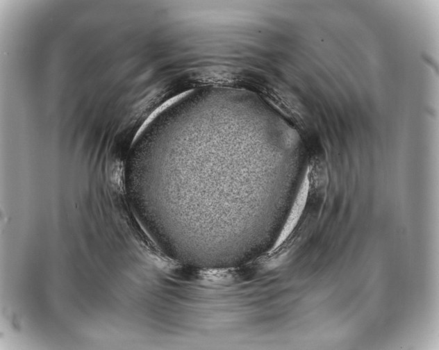 X0000096980141200802221442