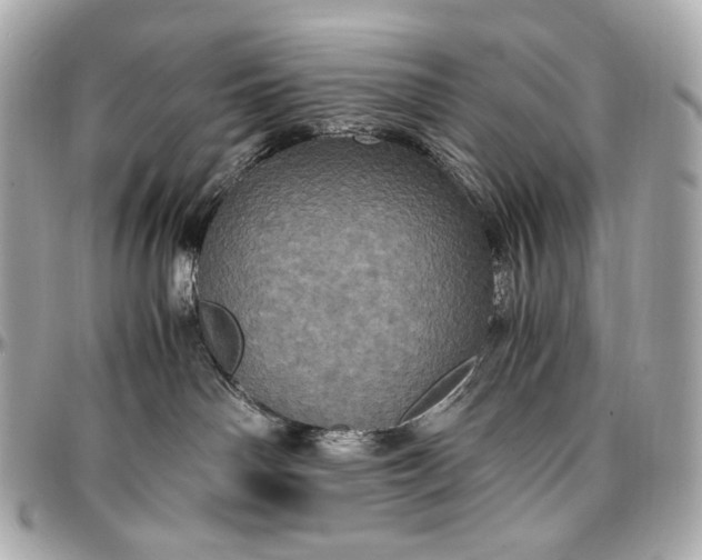 X0000096980142200802221442