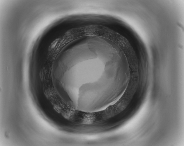 X0000096980143200802221442