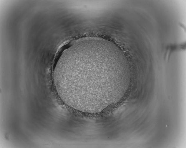 X0000096980144200802221442