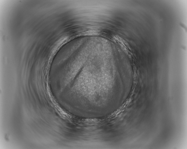 X0000096980145200802221442