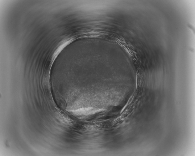 X0000096980147200802221442