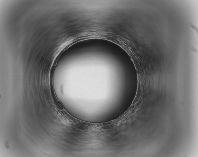 X0000096980148200802221442