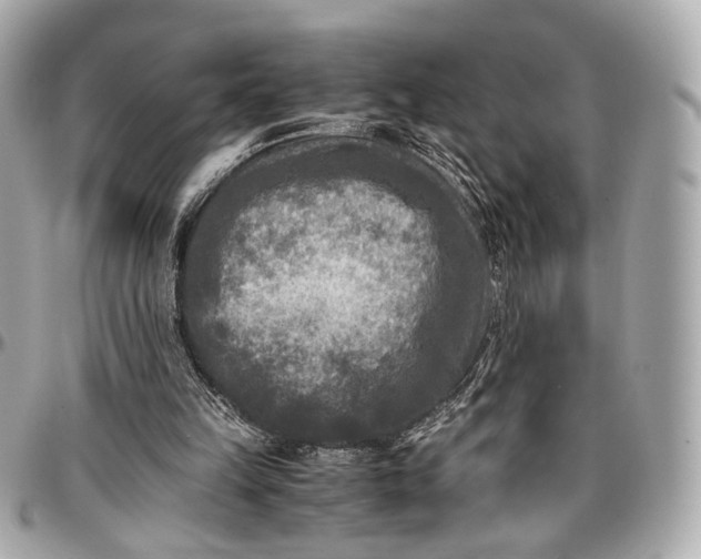 X0000096980149200802221442