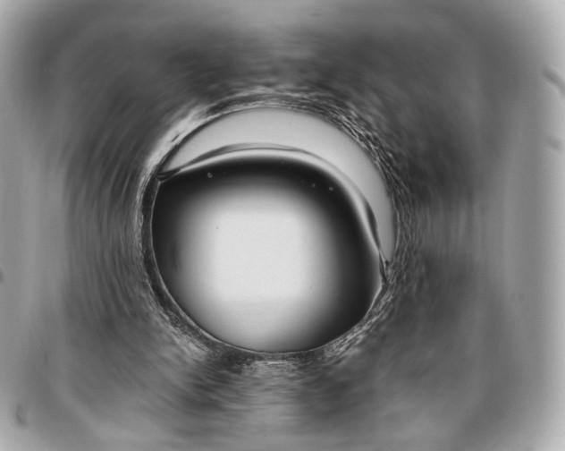 X0000096980150200802221442