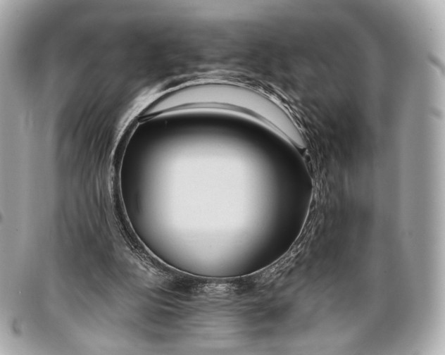 X0000096980152200802221442