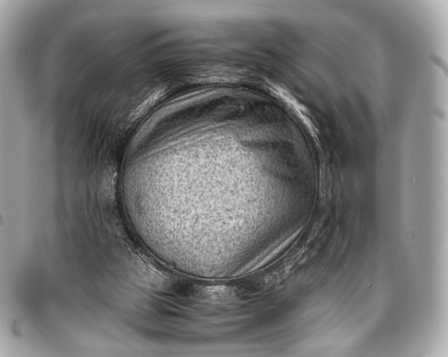 X0000096980153200802221442