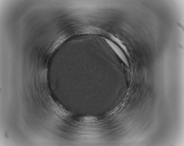 X0000096980154200802221442