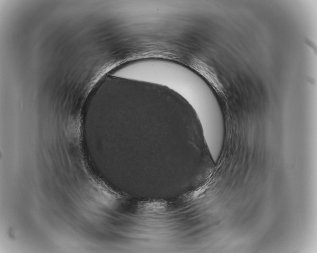 X0000096980156200802221442